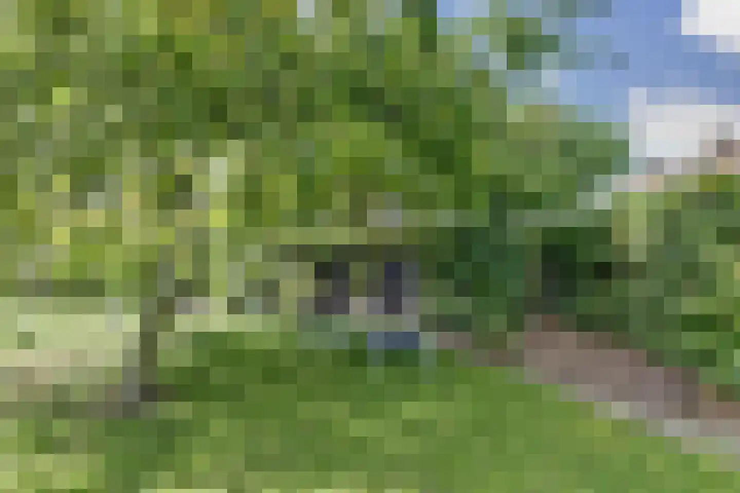 Saaftingestraat 39 Rilland thumbnail 26