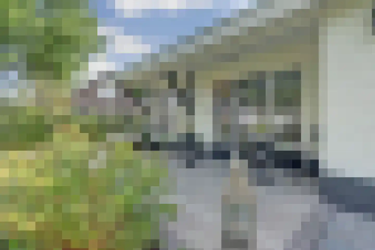 Saaftingestraat 39 Rilland thumbnail 27