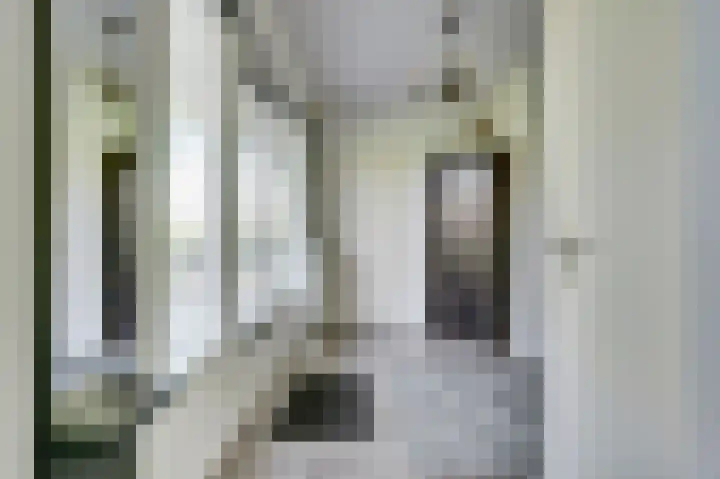 Saaftingestraat 39 Rilland thumbnail 5