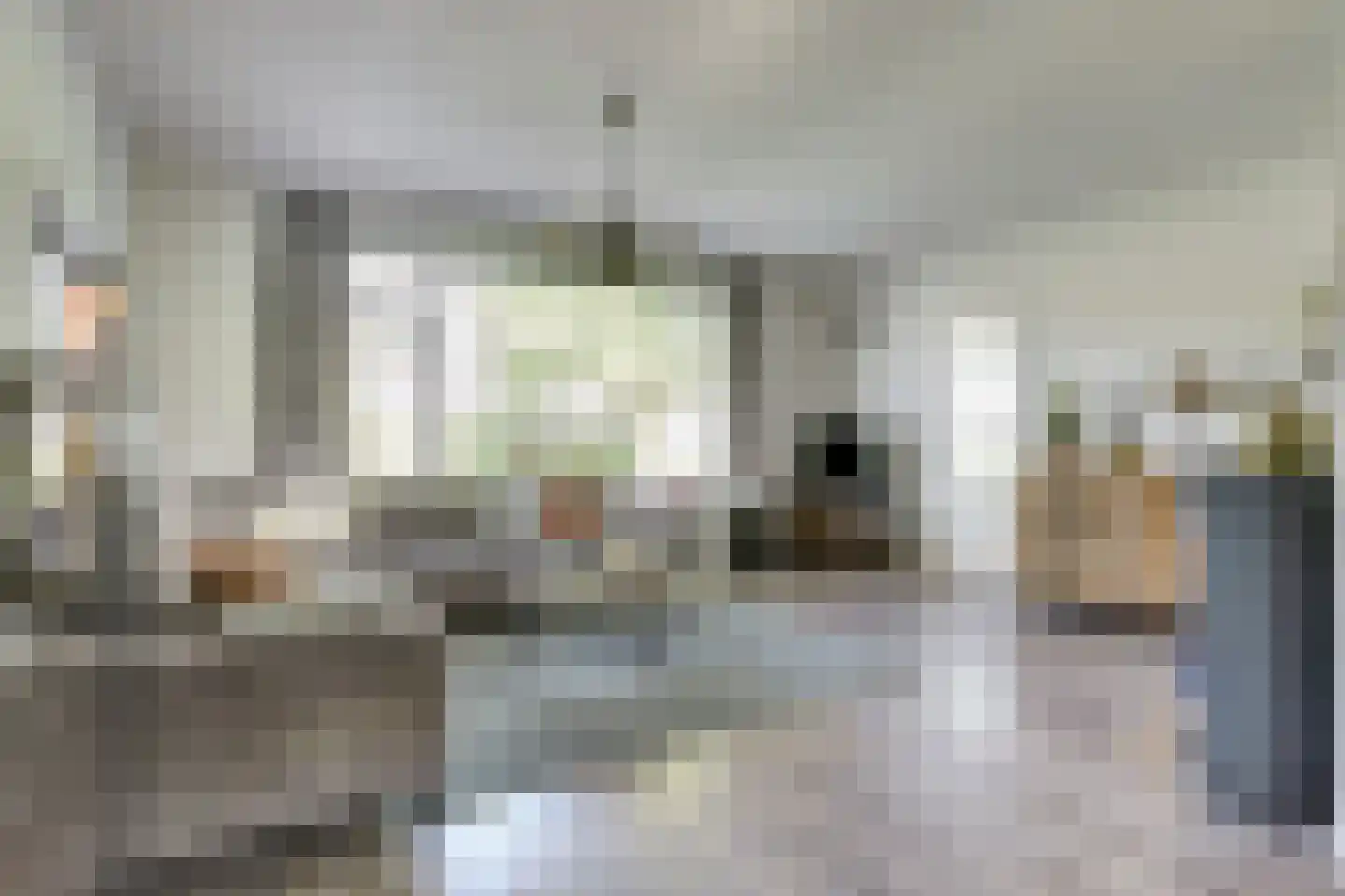 Saaftingestraat 39 Rilland thumbnail 8