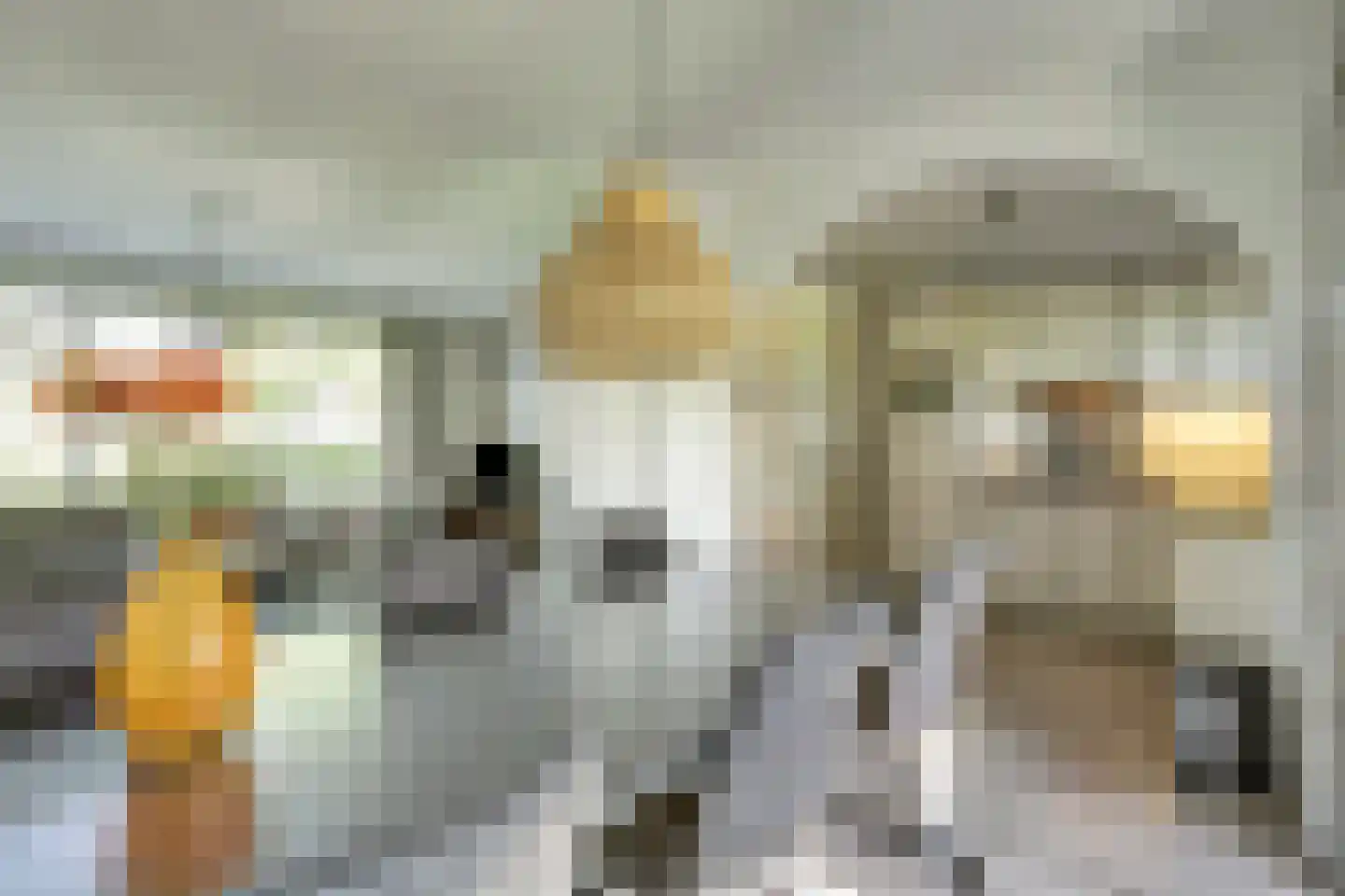 Saaftingestraat 39 Rilland thumbnail 9