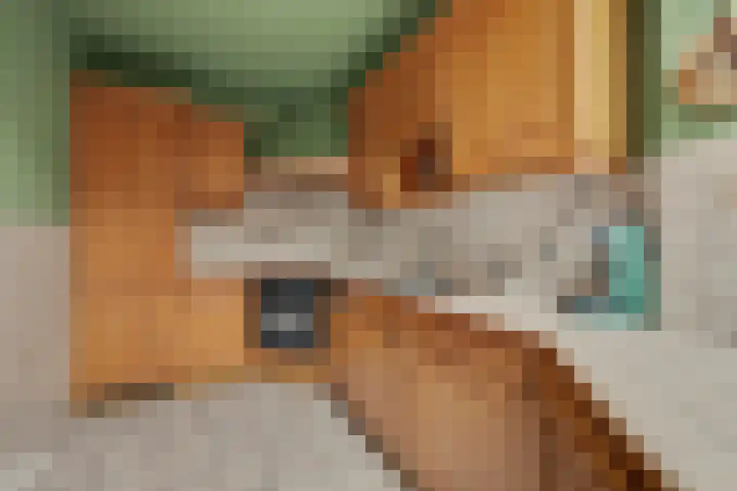 Saaftingestraat 6 Rilland thumbnail 13