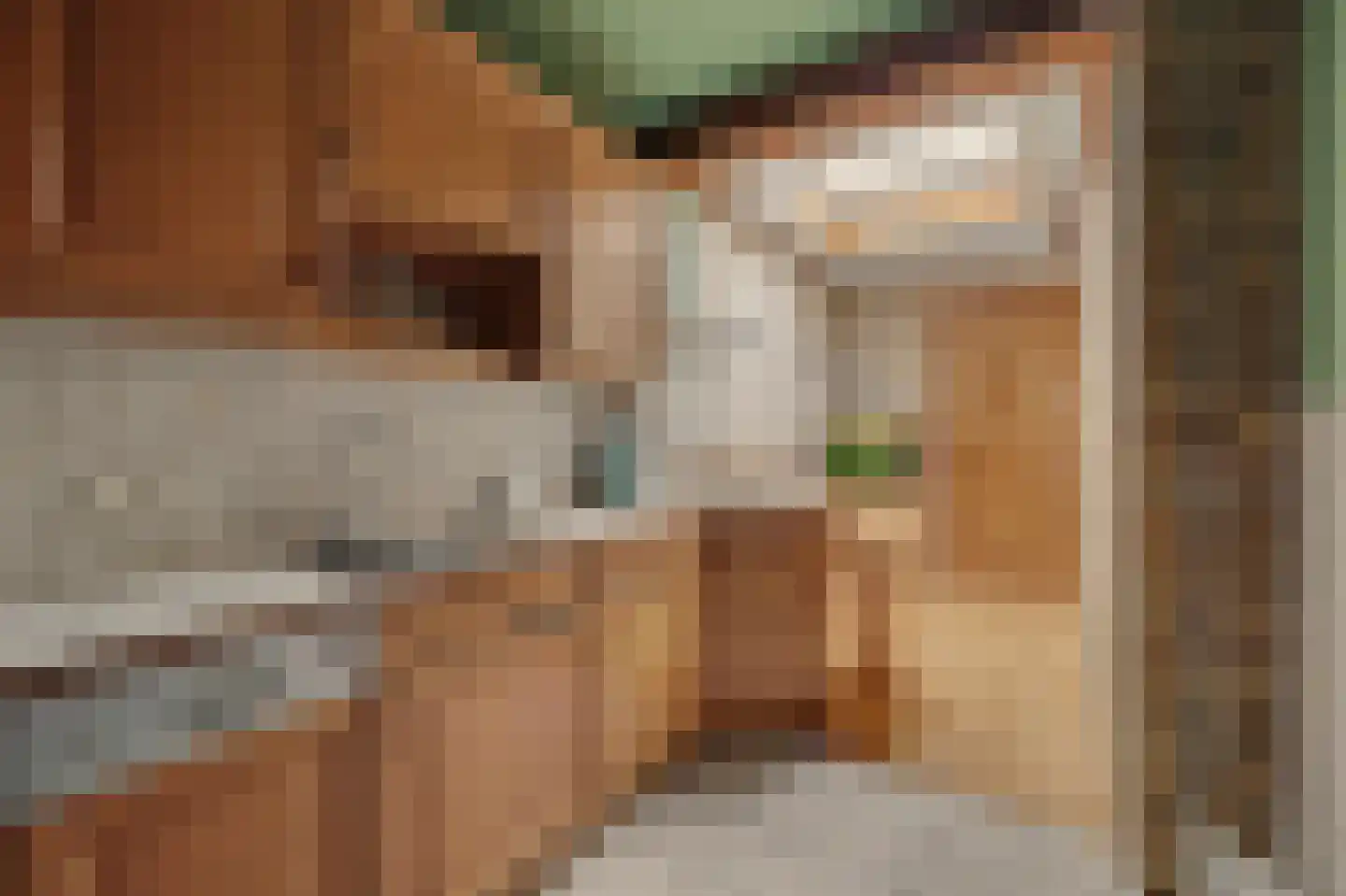 Saaftingestraat 6 Rilland thumbnail 14