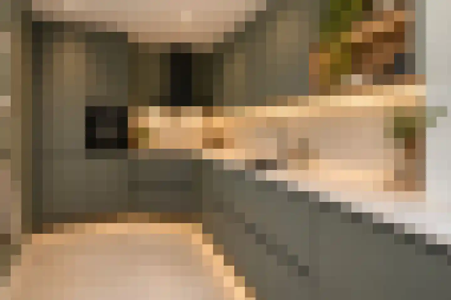 Saaftingestraat 6 Rilland thumbnail 15