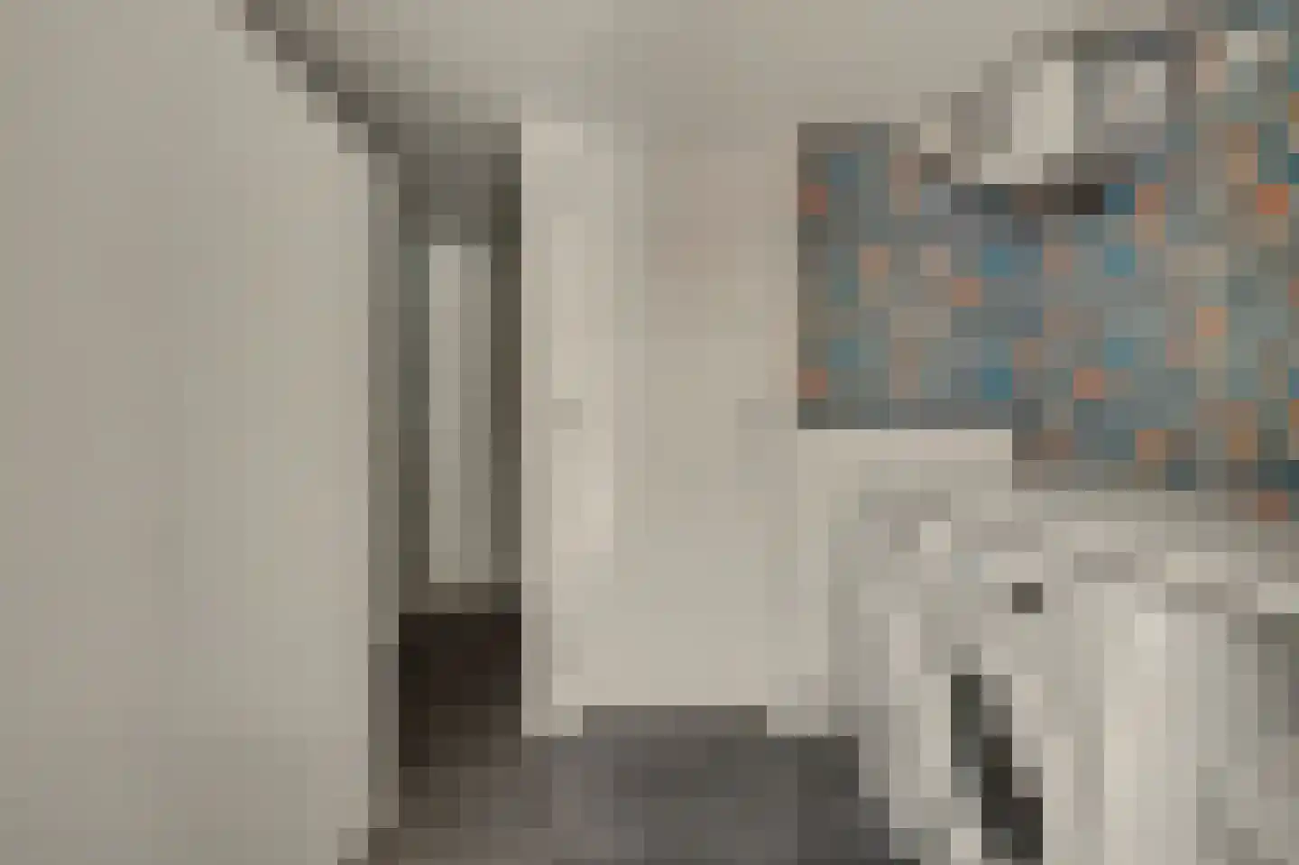 Saaftingestraat 6 Rilland thumbnail 17