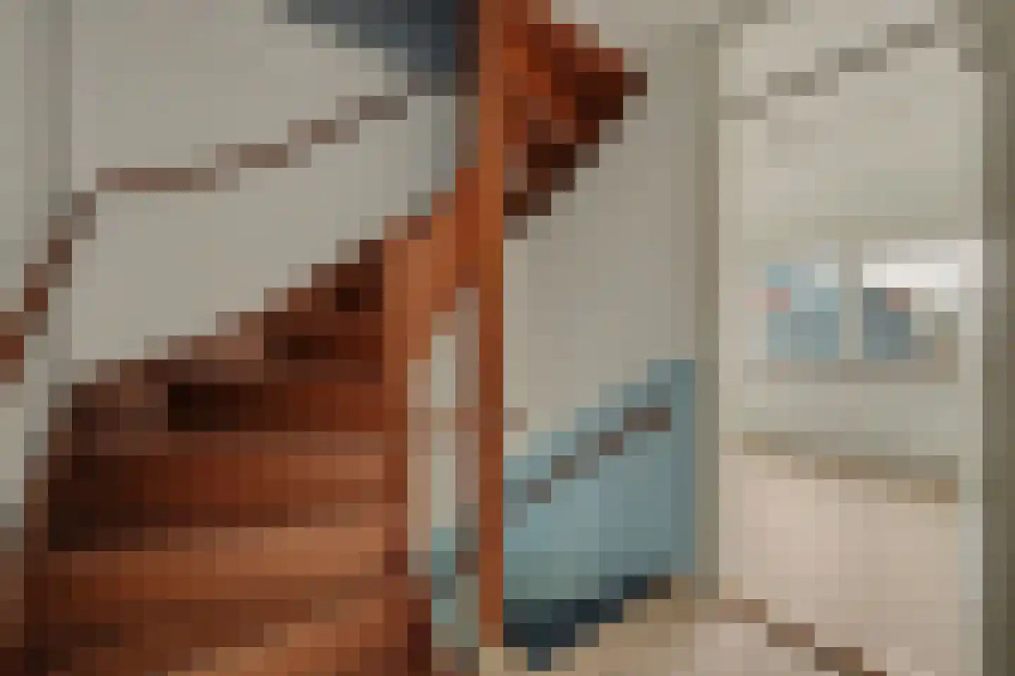Saaftingestraat 6 Rilland thumbnail 20
