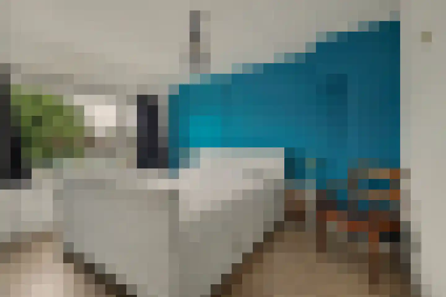 Saaftingestraat 6 Rilland thumbnail 21