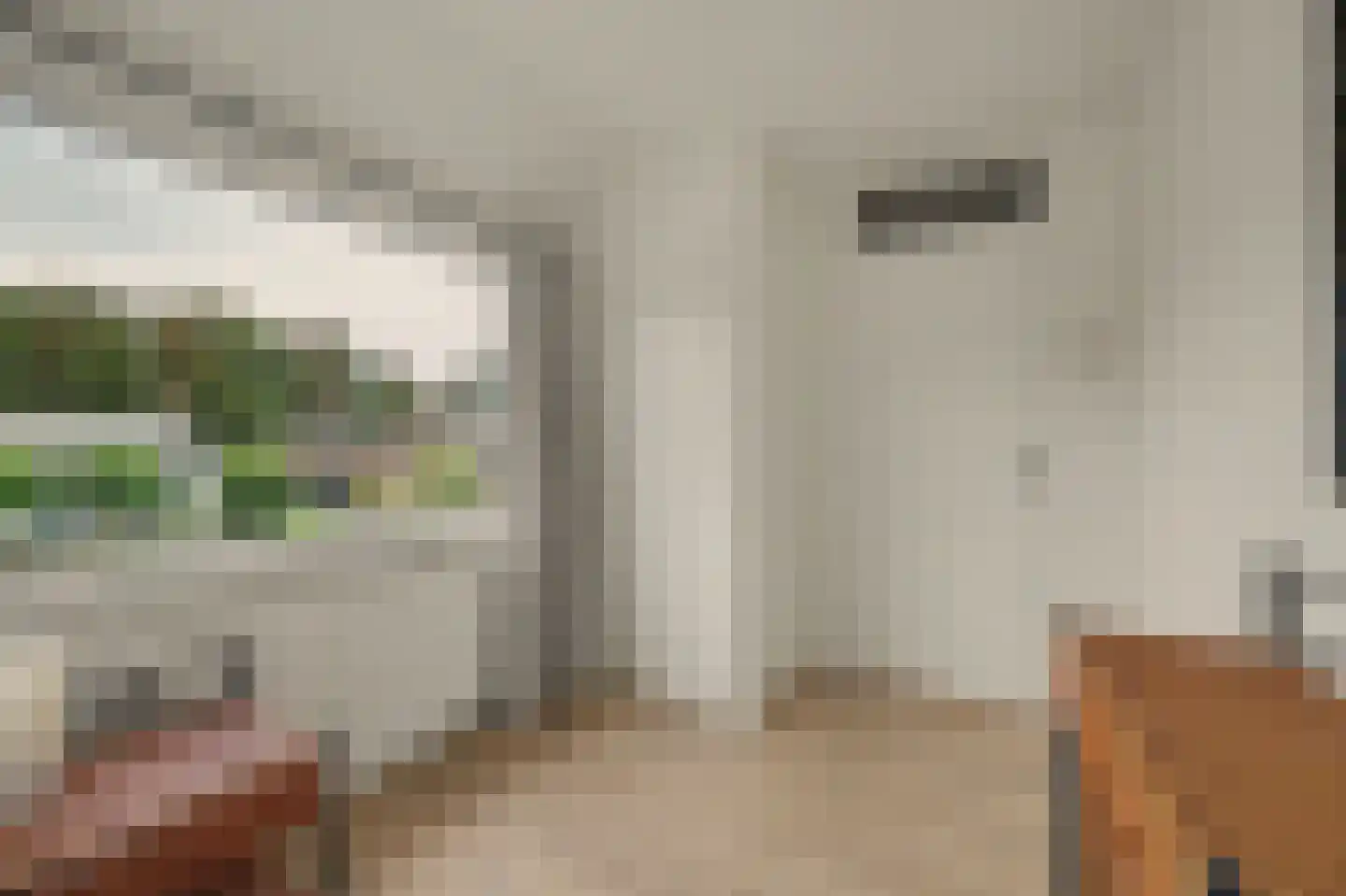 Saaftingestraat 6 Rilland thumbnail 24