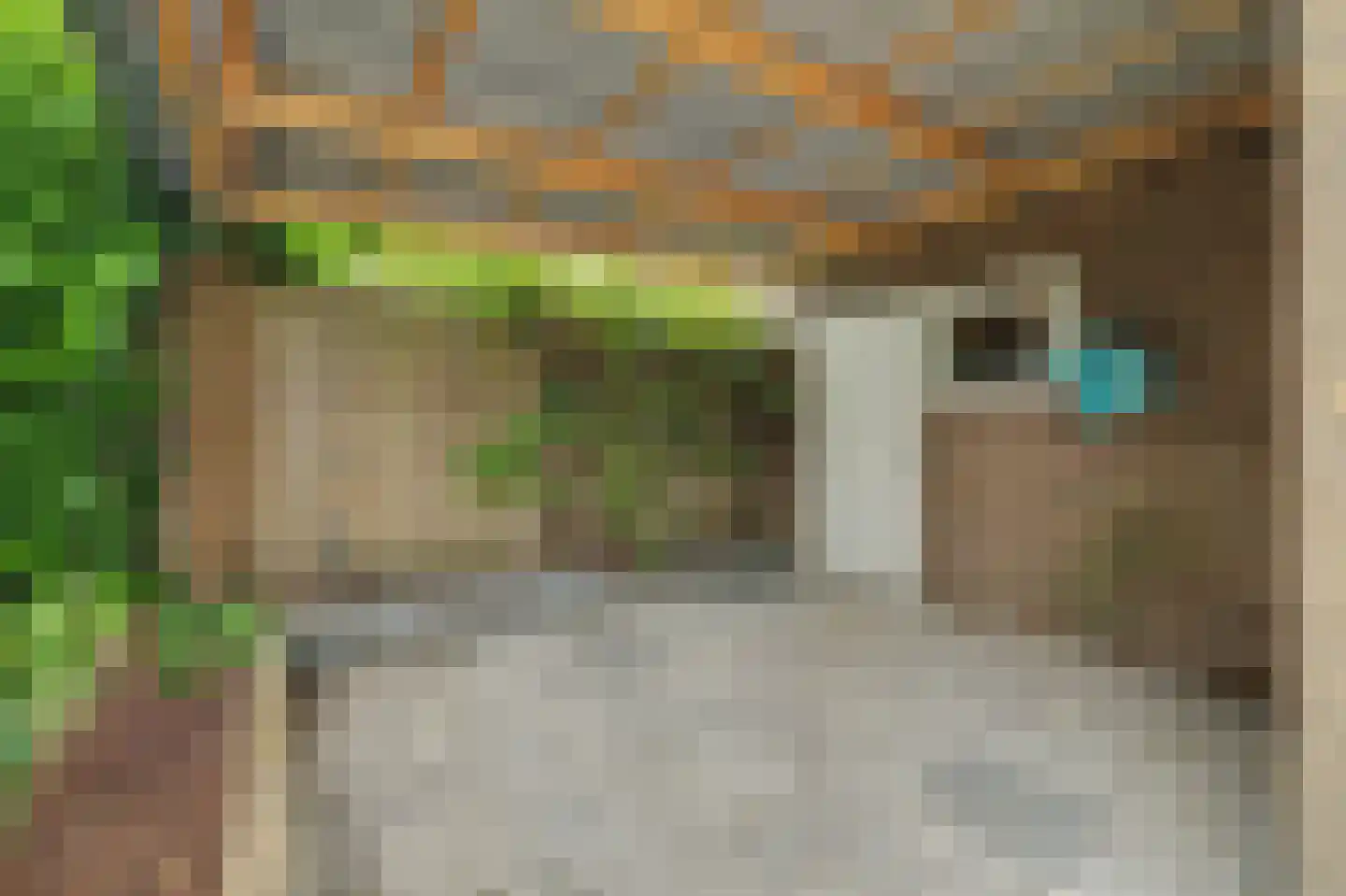 Saaftingestraat 6 Rilland thumbnail 28