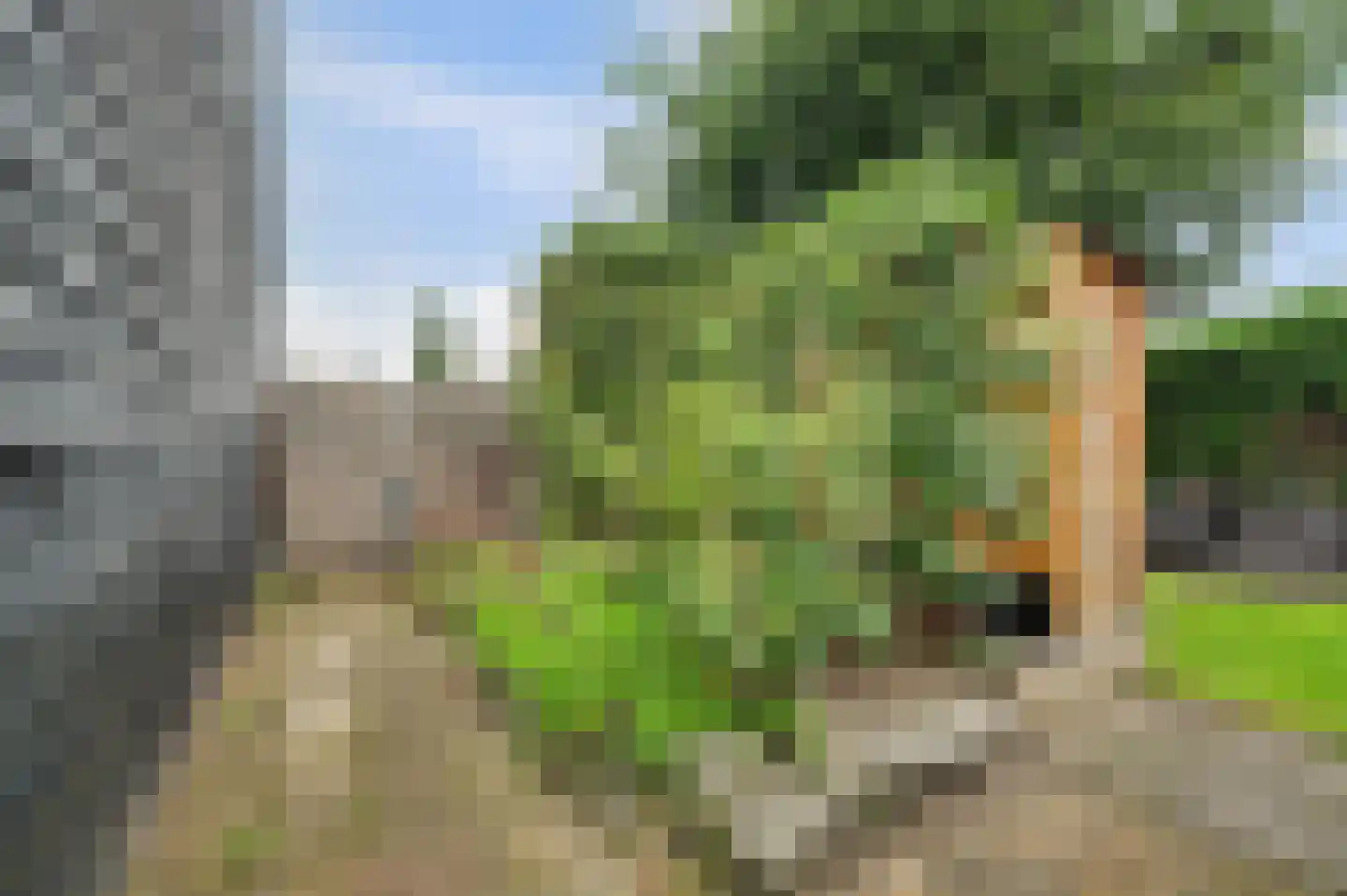 Saaftingestraat 6 Rilland thumbnail 30