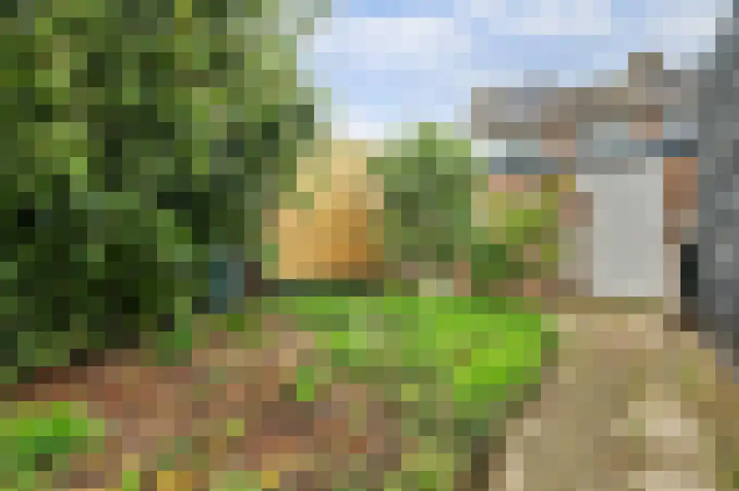 Saaftingestraat 6 Rilland thumbnail 31