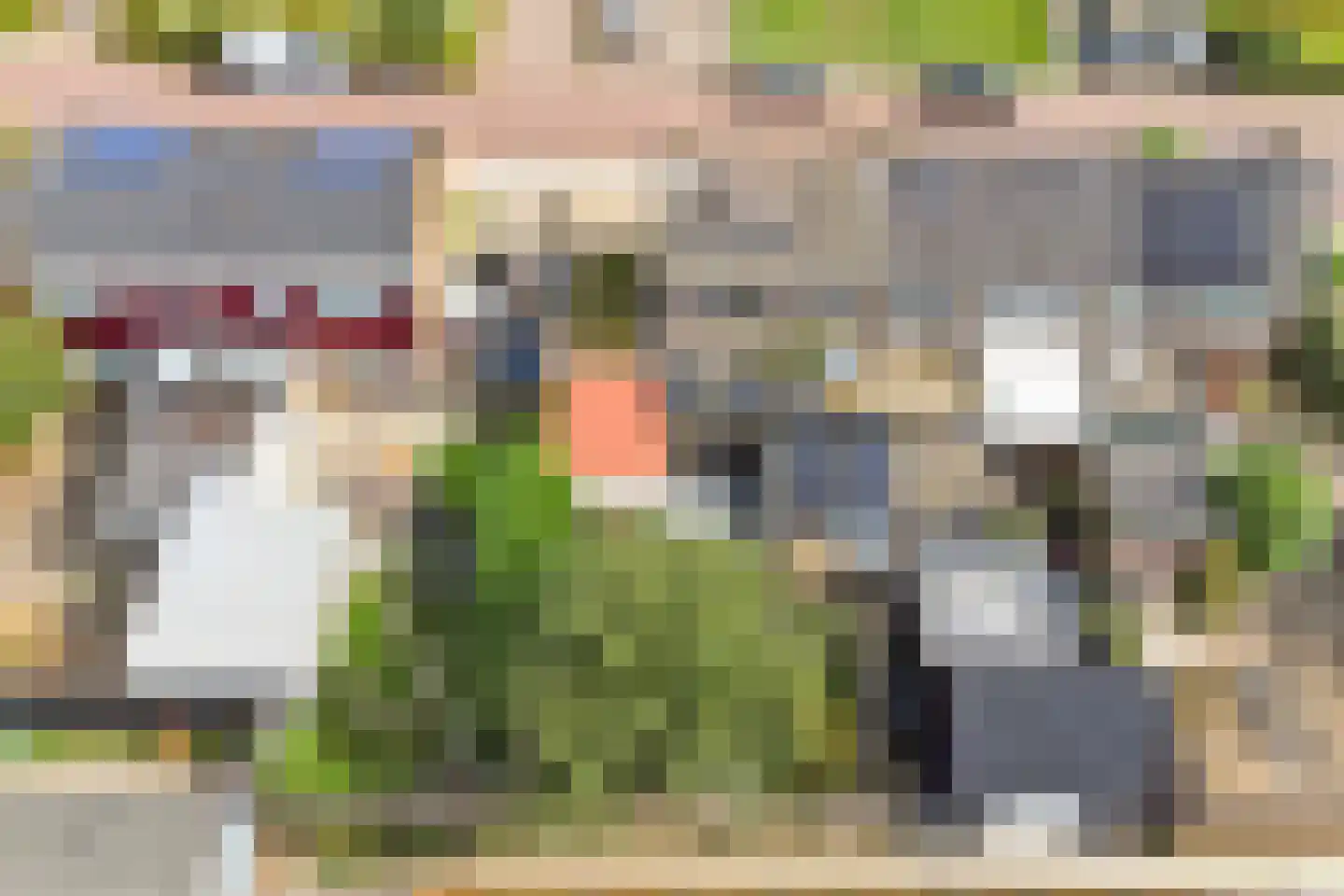 Saaftingestraat 6 Rilland thumbnail 38