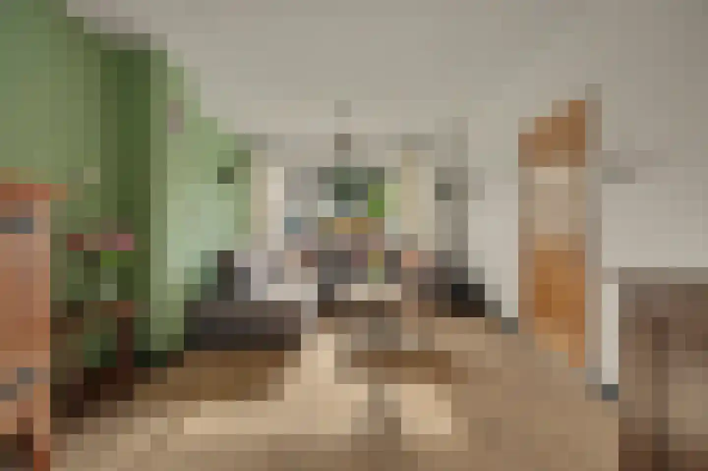 Saaftingestraat 6 Rilland thumbnail 6