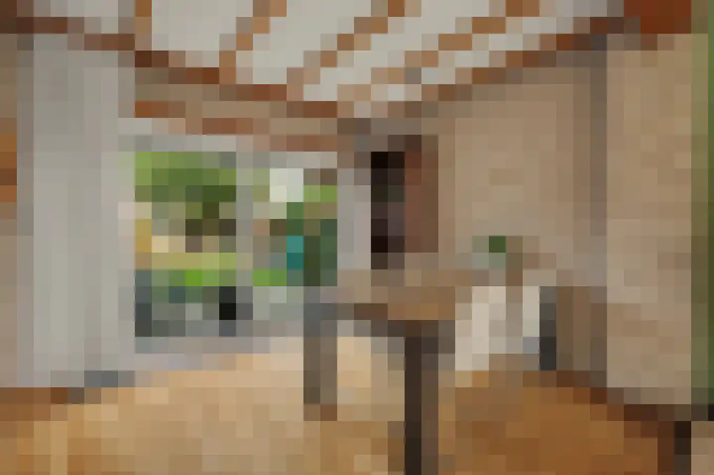Saaftingestraat 6 Rilland thumbnail 9