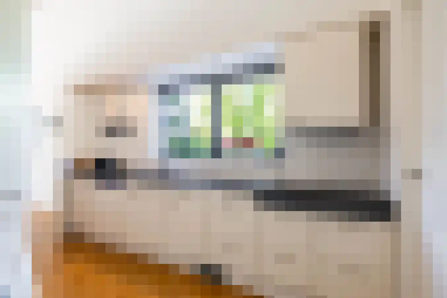 Saaksumborg 15 Groningen thumbnail 15
