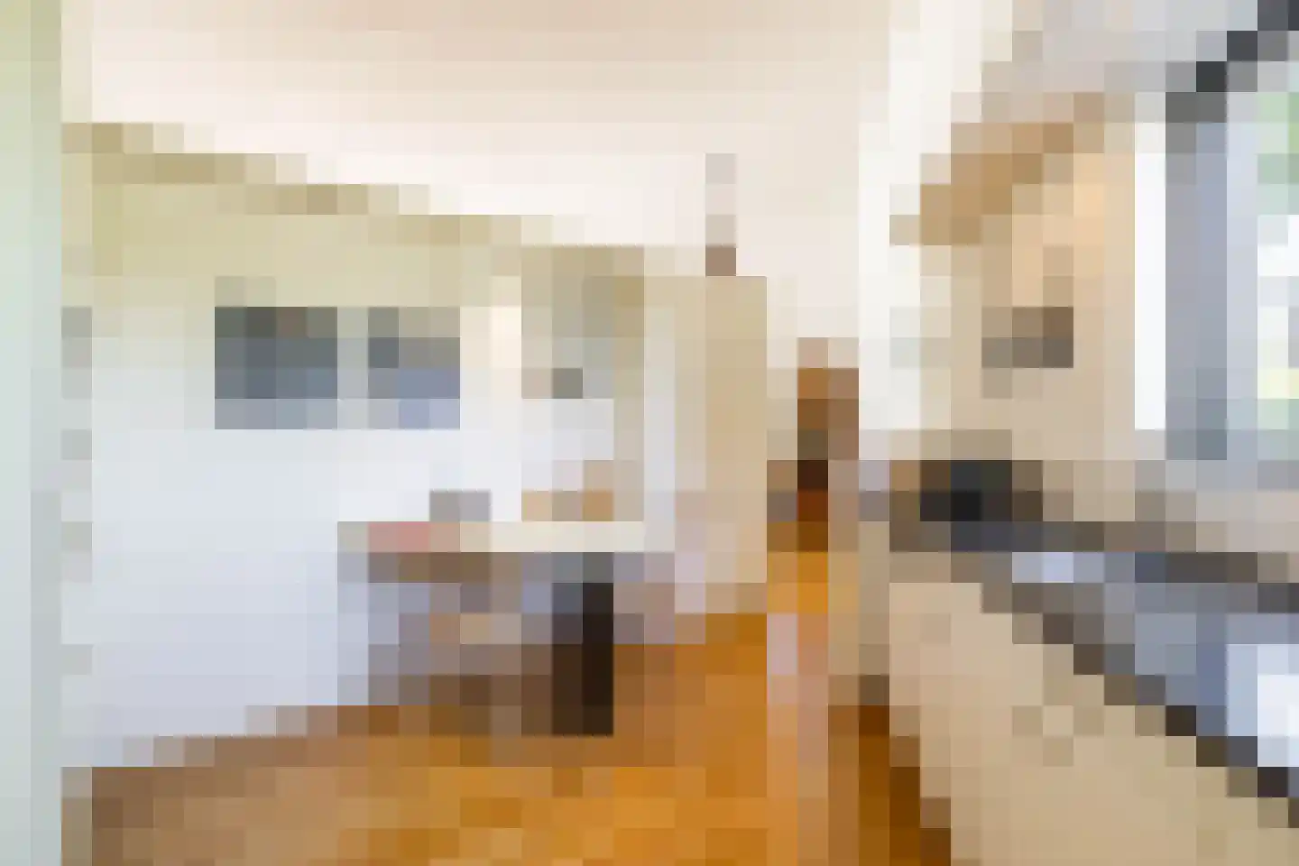 Saaksumborg 15 Groningen thumbnail 16