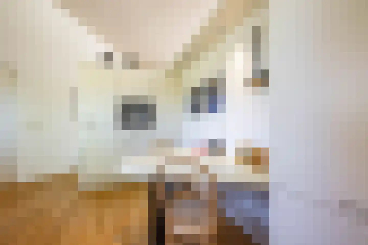 Saaksumborg 15 Groningen thumbnail 18
