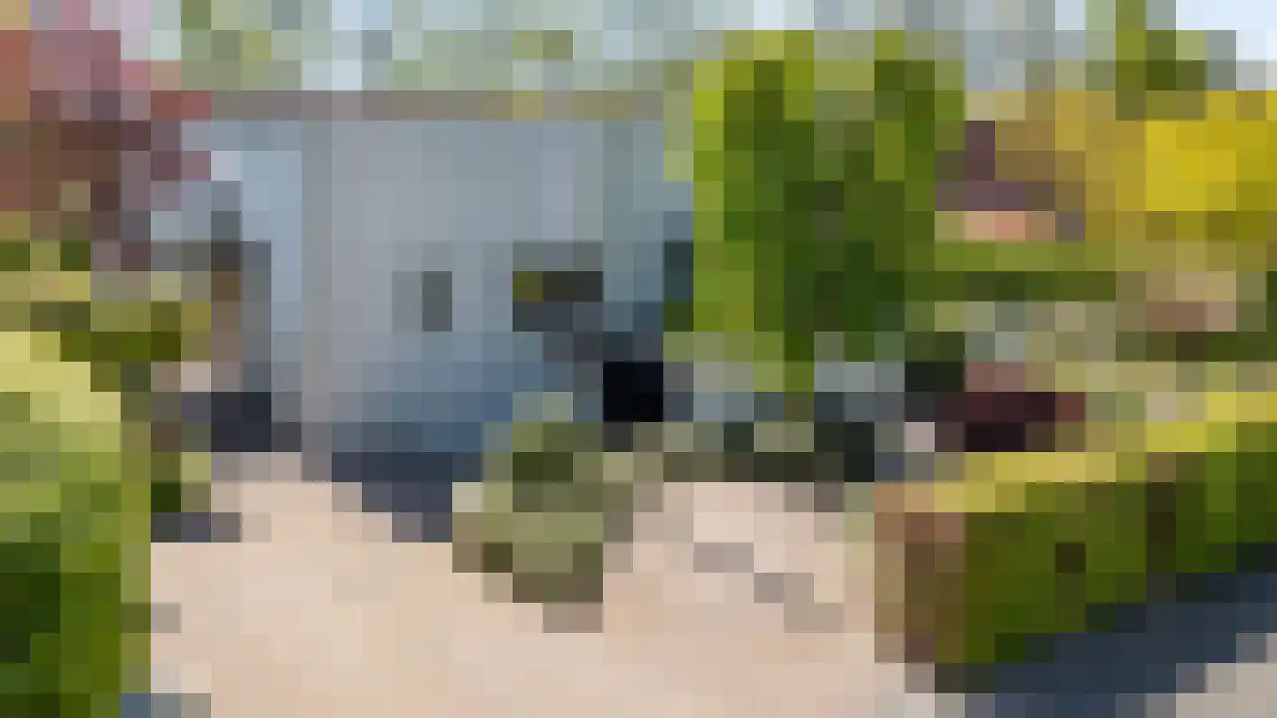 Saaksumborg 15 Groningen foto 2