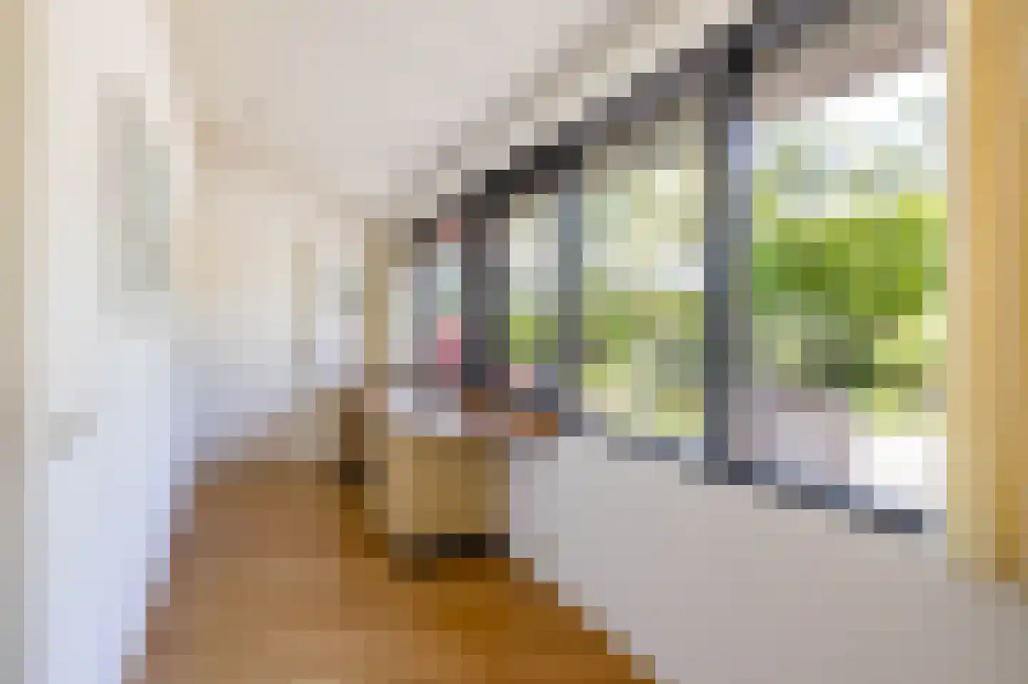 Saaksumborg 15 Groningen thumbnail 23