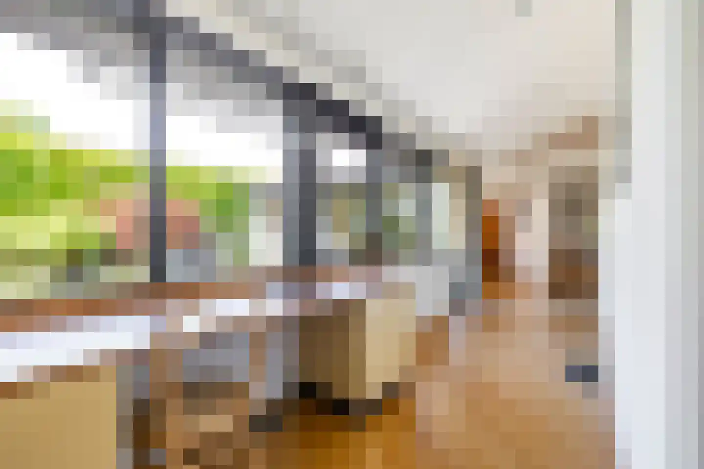 Saaksumborg 15 Groningen thumbnail 24