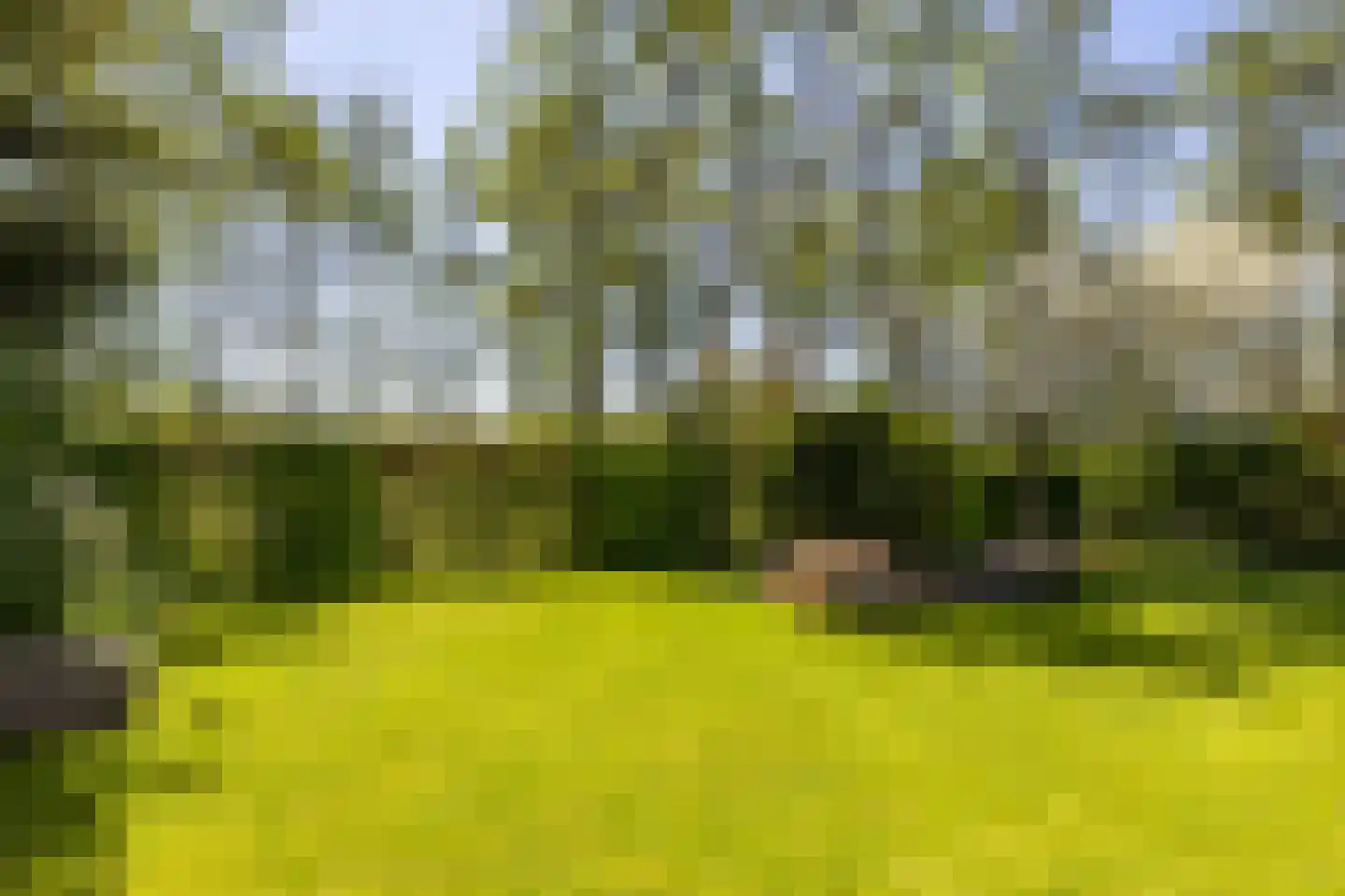 Saaksumborg 15 Groningen thumbnail 38