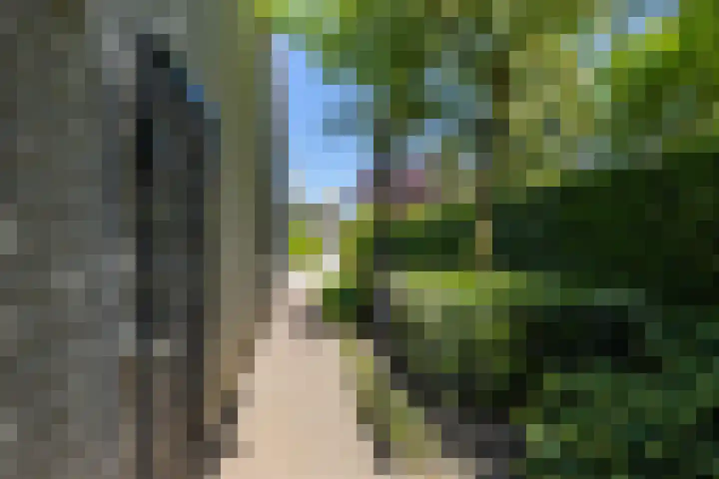 Saaksumborg 15 Groningen thumbnail 39