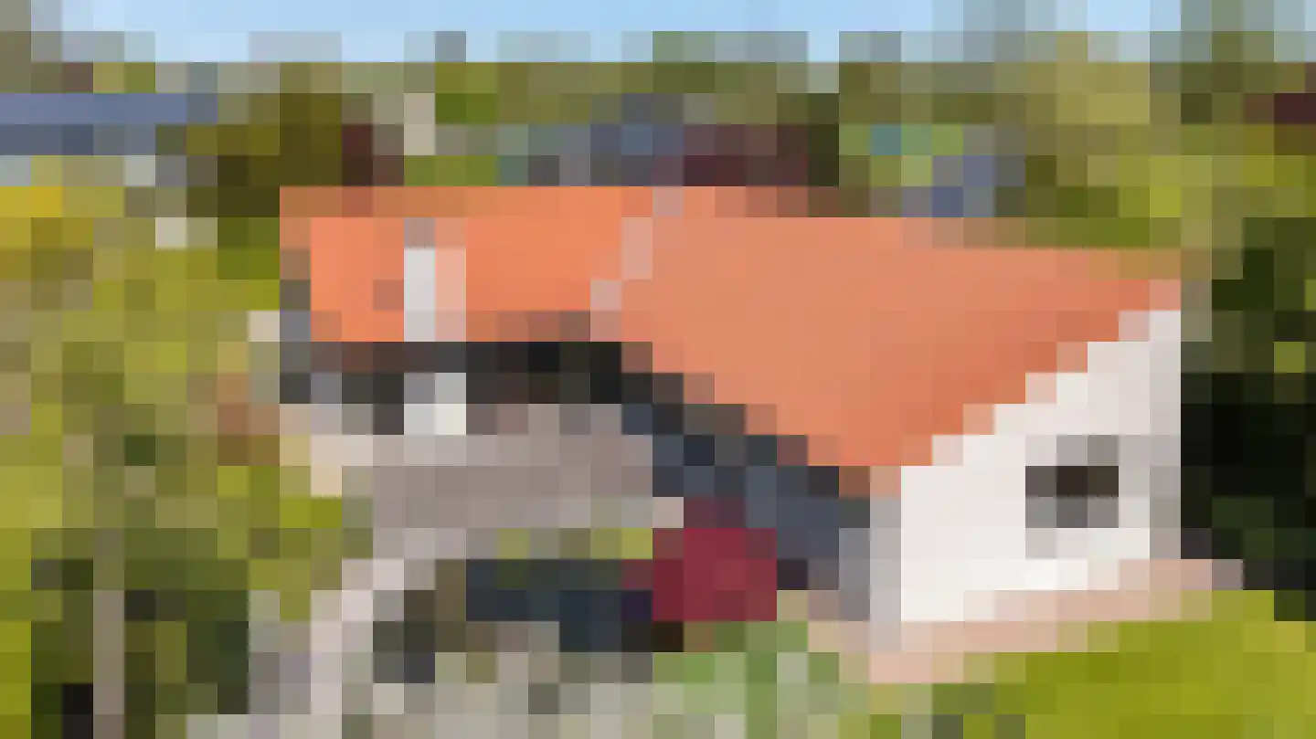 Saaksumborg 15 Groningen thumbnail 4