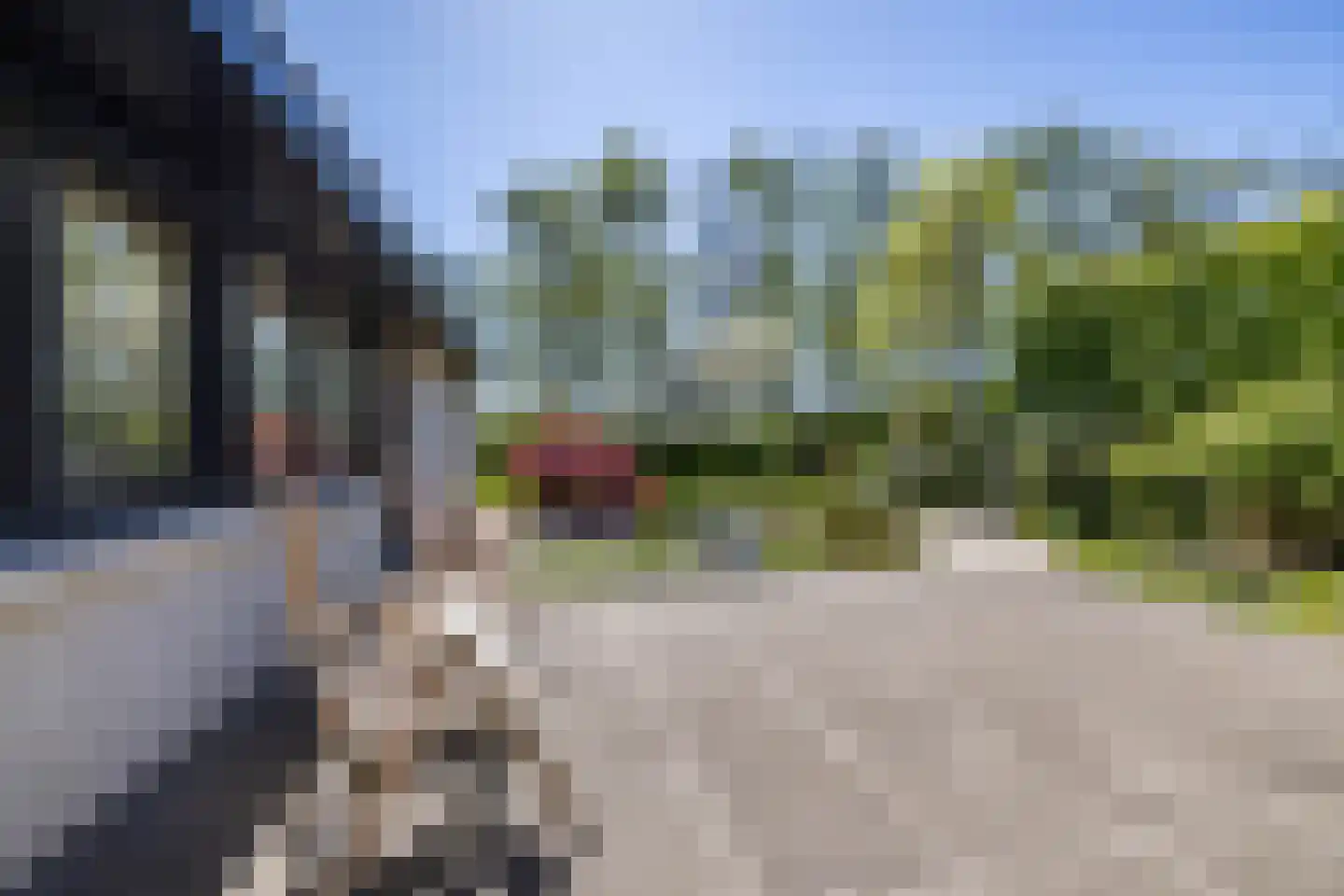 Saaksumborg 15 Groningen thumbnail 41