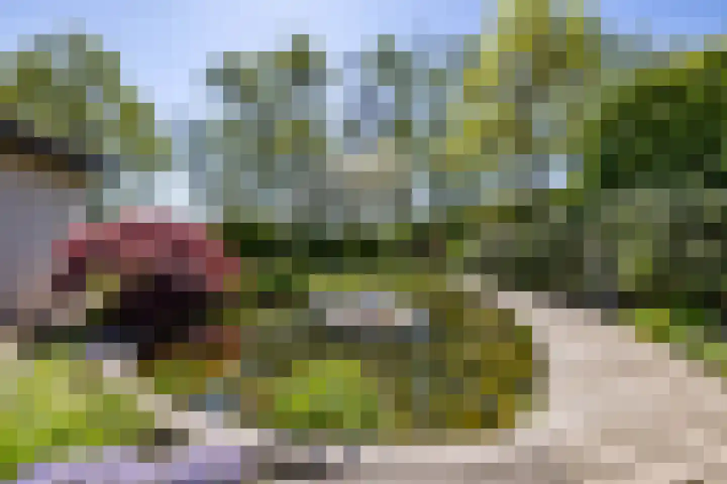Saaksumborg 15 Groningen thumbnail 43