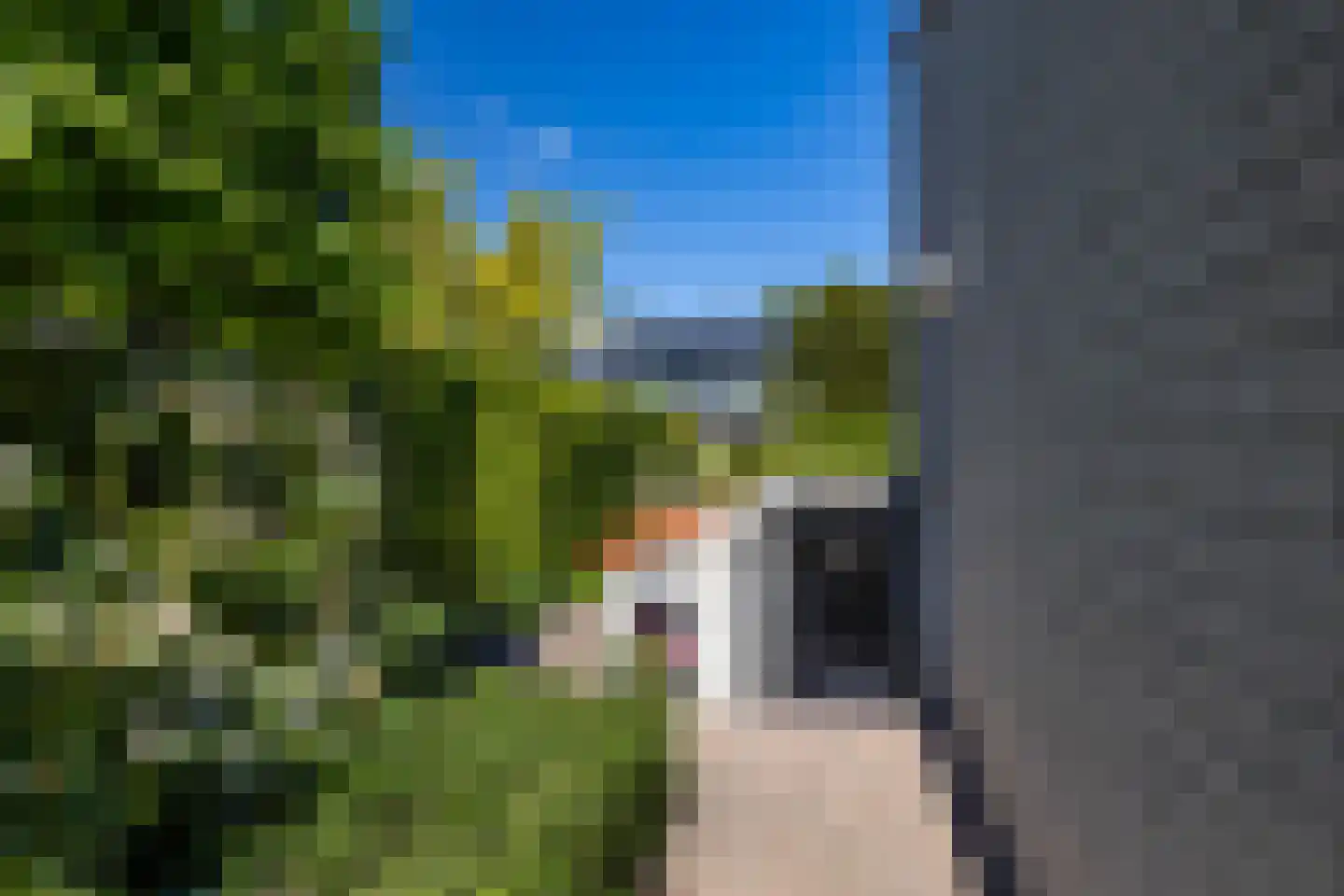 Saaksumborg 15 Groningen thumbnail 44
