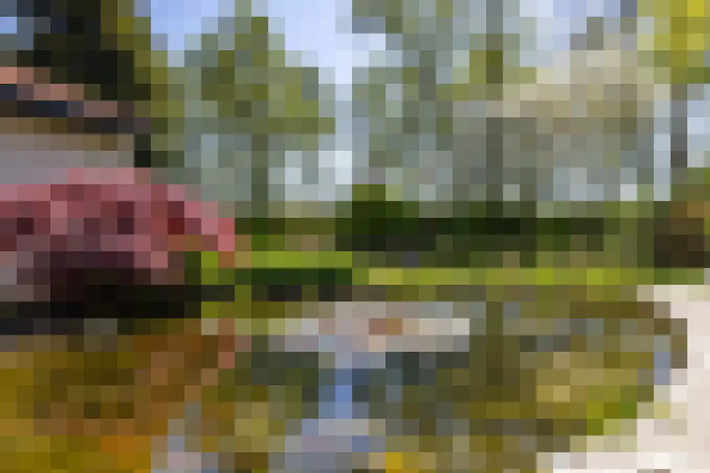 Saaksumborg 15 Groningen thumbnail 45