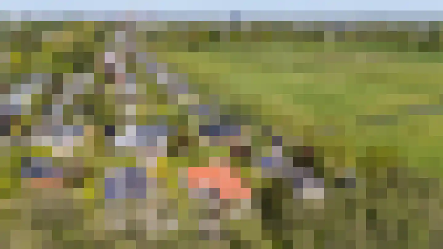 Saaksumborg 15 Groningen thumbnail 47