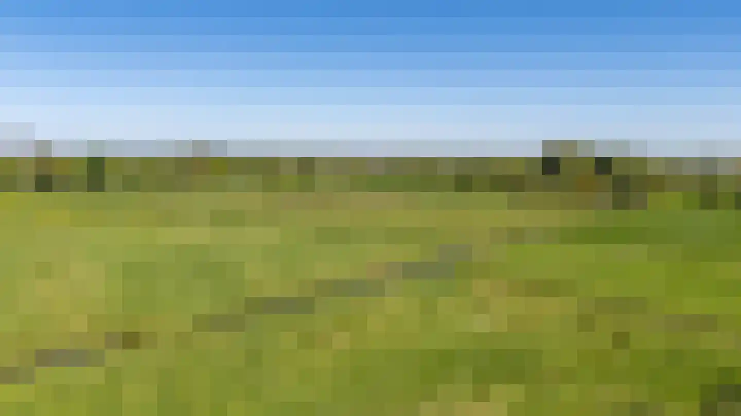 Saaksumborg 15 Groningen thumbnail 50