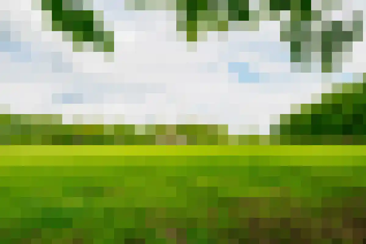 Saamsweg 10 a Hoge Hexel thumbnail 10