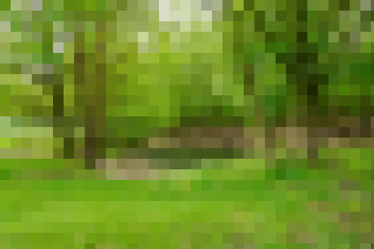 Saamsweg 10 a Hoge Hexel thumbnail 11