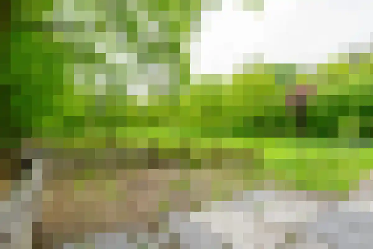 Saamsweg 10 a Hoge Hexel thumbnail 12