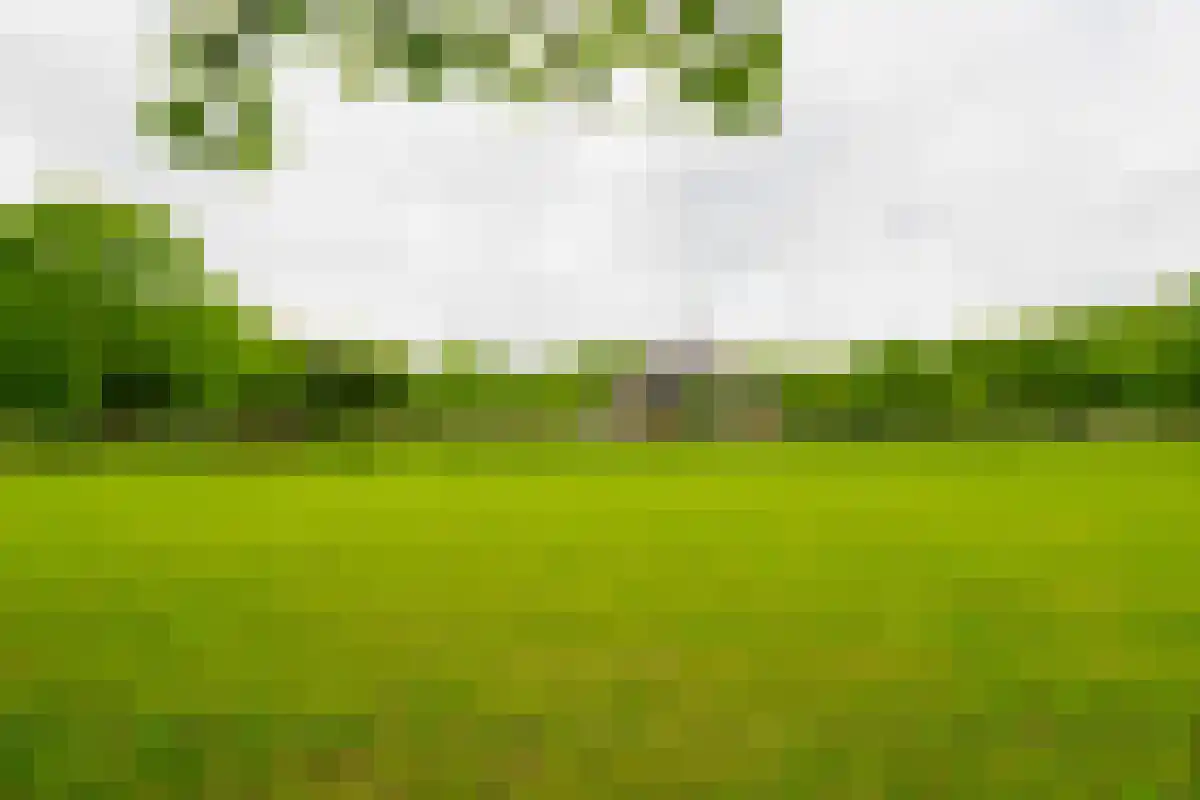 Saamsweg 10 a Hoge Hexel thumbnail 13