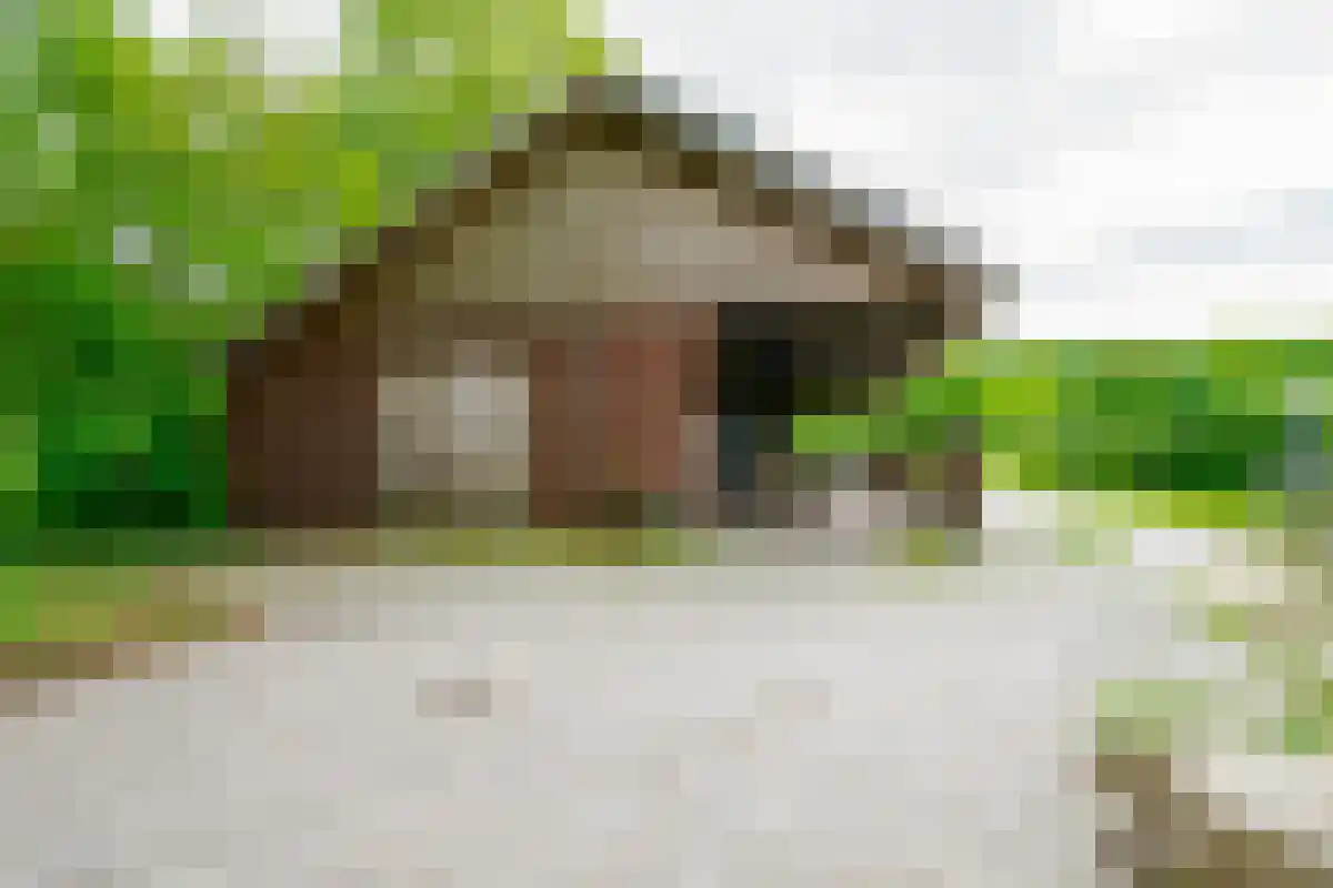 Saamsweg 10 a Hoge Hexel thumbnail 14