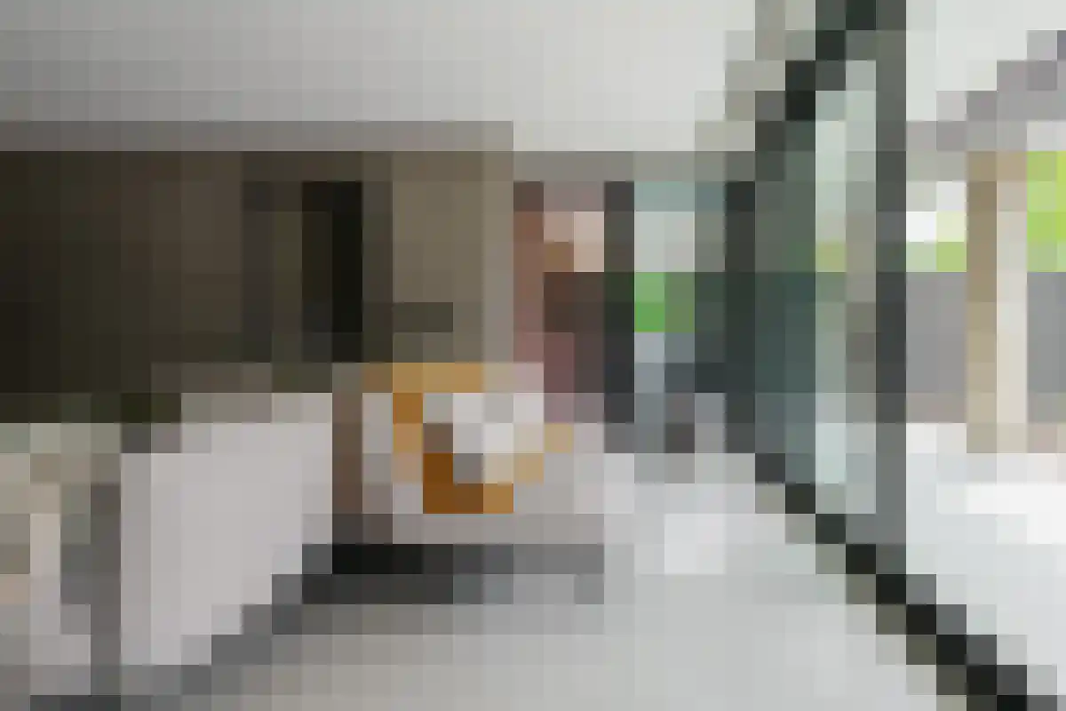 Saamsweg 10 a Hoge Hexel thumbnail 19