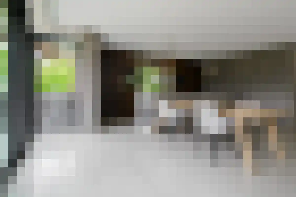 Saamsweg 10 a Hoge Hexel thumbnail 32