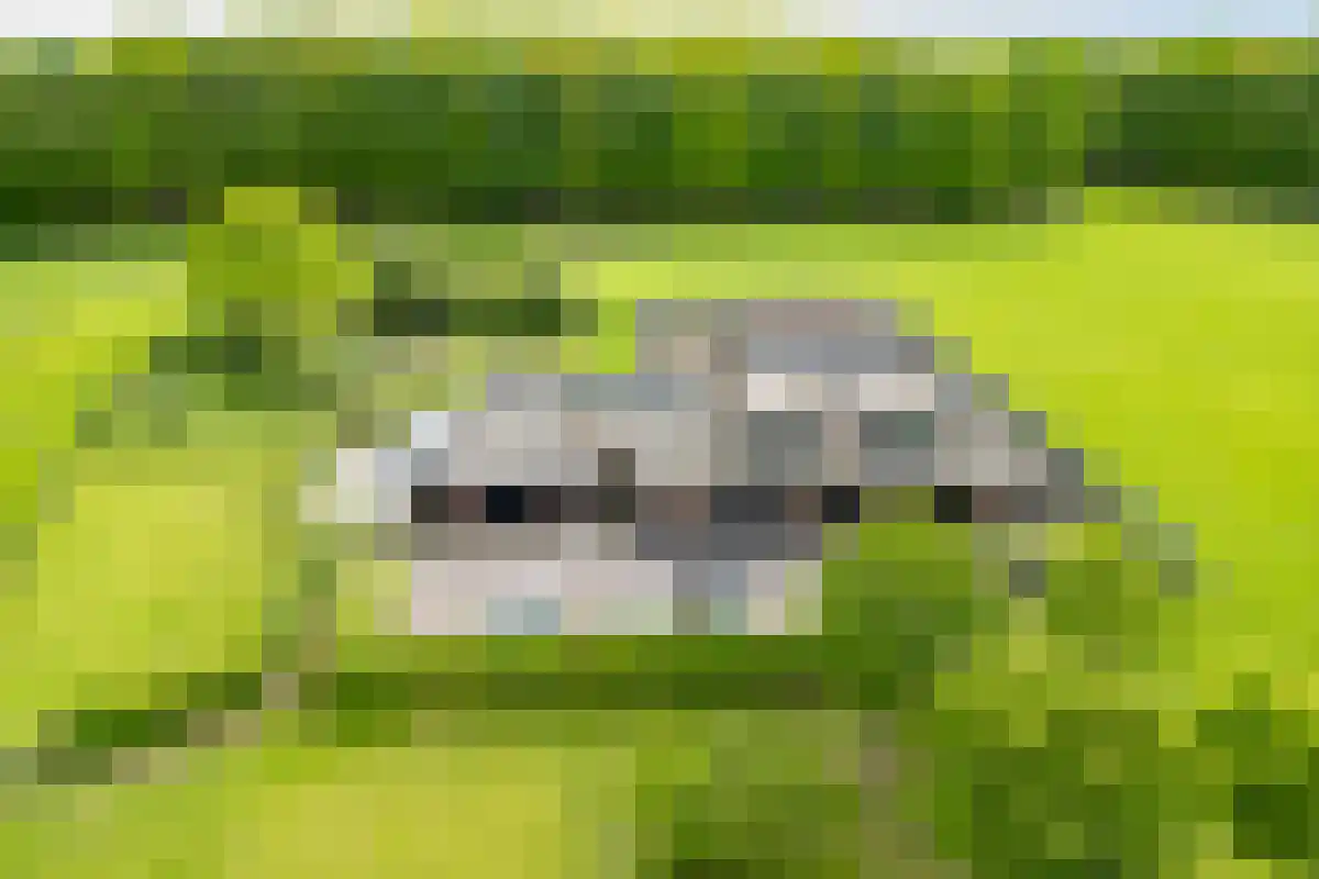 Saamsweg 10 a Hoge Hexel thumbnail 4