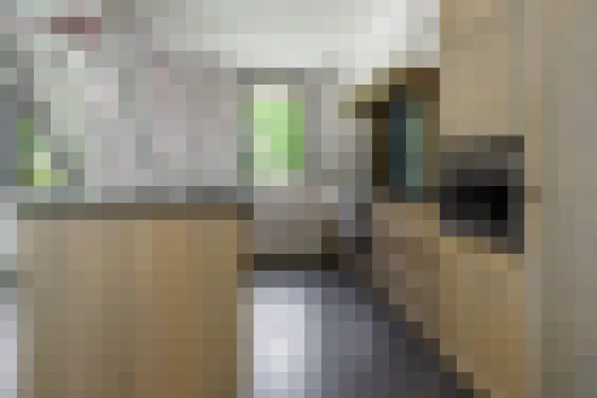Saamsweg 10 a Hoge Hexel thumbnail 42