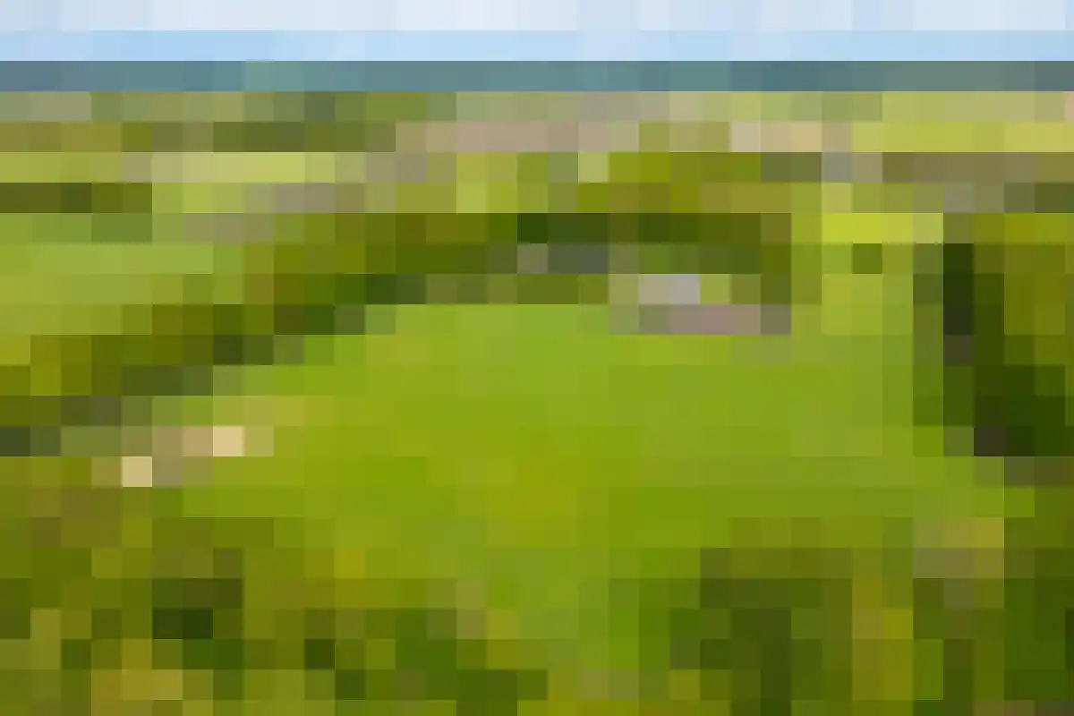 Saamsweg 10 a Hoge Hexel thumbnail 6