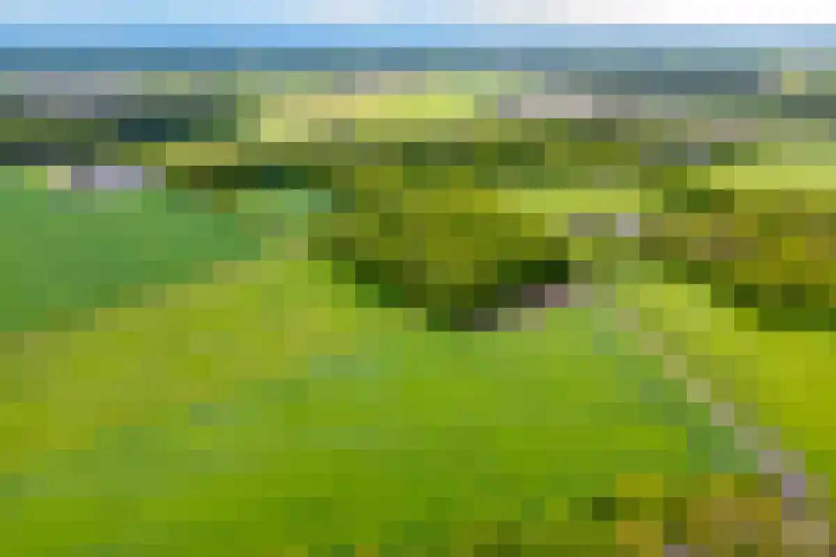 Saamsweg 10 a Hoge Hexel thumbnail 7