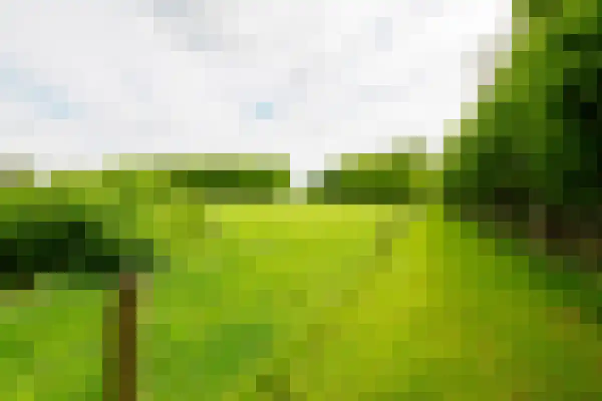 Saamsweg 10 a Hoge Hexel thumbnail 9