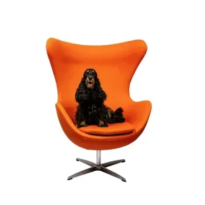 Foto von Saar van Bracht