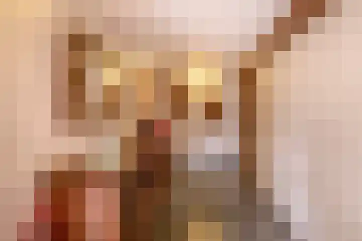 Saardijk 11 Sevenum thumbnail 10