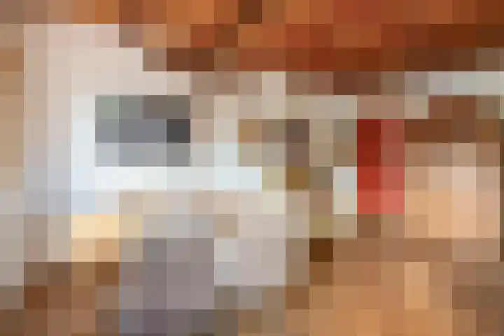 Saardijk 11 Sevenum thumbnail 13