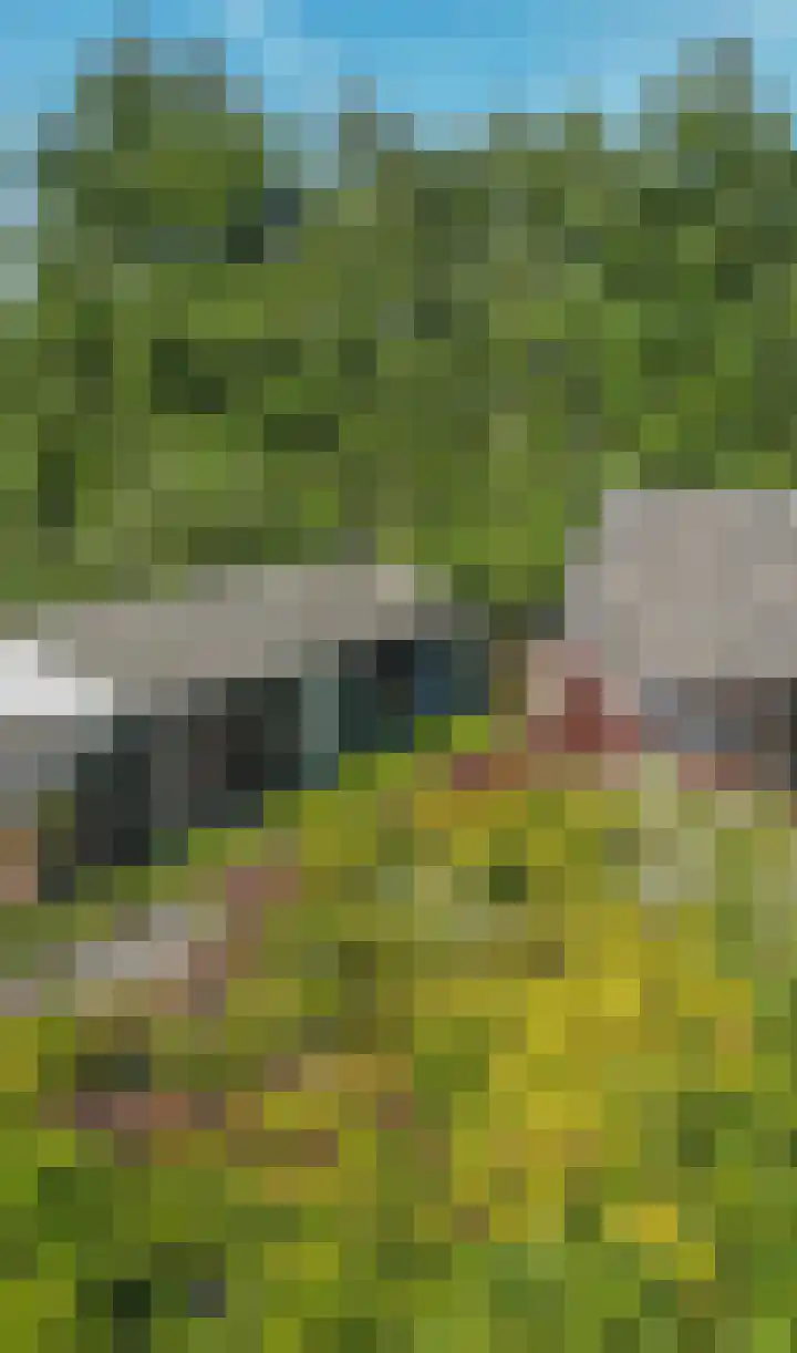 Saardijk 11 Sevenum thumbnail 21