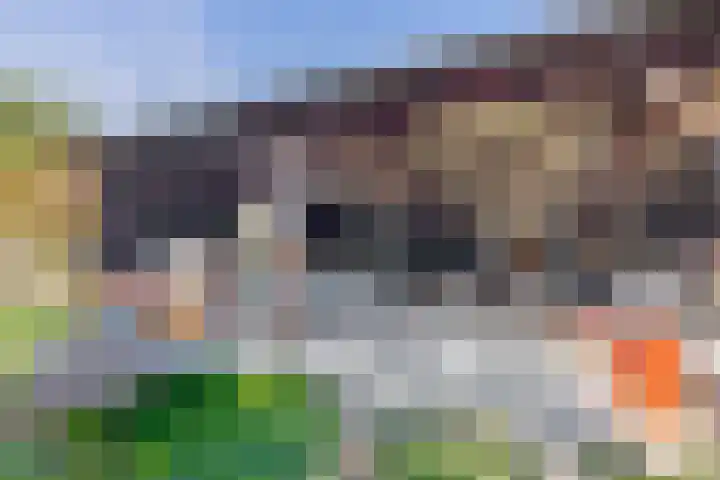 Saardijk 11 Sevenum thumbnail 22